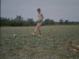 0DIA 1982 RAVAKAMP